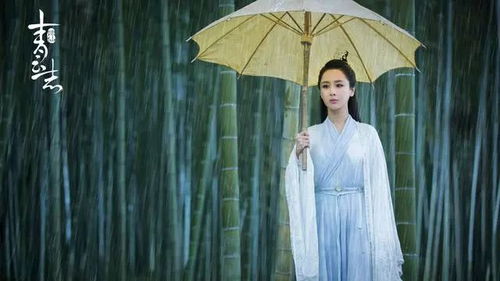 娱乐圈疑云 