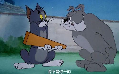消消乐吃鸡手游 
