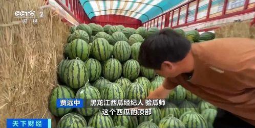 消消乐吃鸡手游 