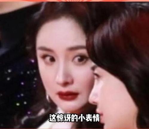 娱乐圈疑云 