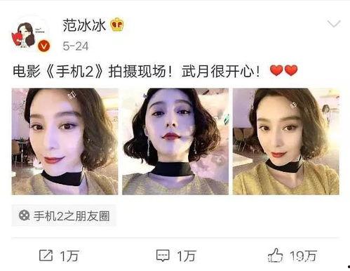 娱乐圈疑云 