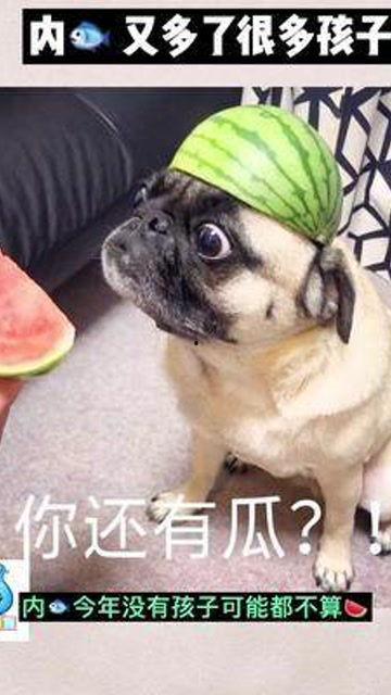 谁是谁 