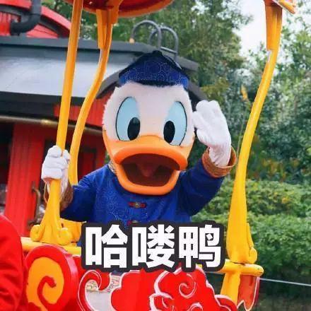 娱乐圈疑云 